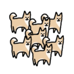 ▶︎動く！小さい柴犬がいっぱい