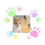 おちゃねこスタンプ