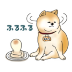 柴犬のお餅