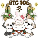 シーズー犬 106『冬』