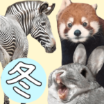 冬☆うさぎと動物園の年末年始☆飛び出す