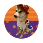 ☺︎こむぎちゃん☺︎2023★卯年★