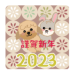 トイプとグレージュうさぎの2023年お正月♡