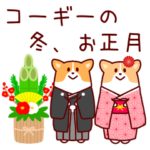 コーギーの冬、お正月