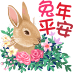 our peaceful year 2023