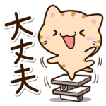 毎日元気な☆小さいトラネコ