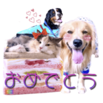 びすけ物語／megu20