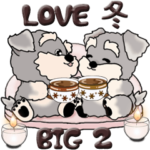 シュナウザー 2『恋人に』