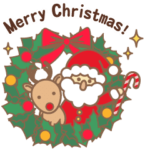 可愛いサンタの日常とクリスマス✨