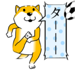 激しく尻尾をふる柴犬 Episode1