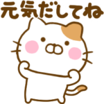 優しいねこひな