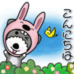 シュナウザーの気持ち