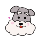 シュナウザー　face