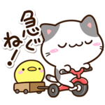 毎日元気な☆小さいブチ猫