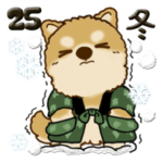 ちゃちゃ丸 25『冬』