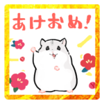 お正月も怠惰なジャンガリアンハムスター