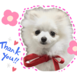 ポポたん秘蔵スタンプ