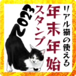 意外と使える！年末年始のデッカいリアル猫