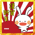 花ほっぺうさきのNewYear　vol.カスタム