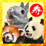 飛び出す！動物園のお正月年賀スタンプ