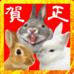 卯年☆うさぎ大集合☆あけおめ年賀スタンプ