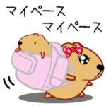 きゃぴばら女子部