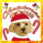 飛び出す!犬のまるちゃんXmas年末年始