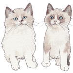 保護猫スタンプPart.4