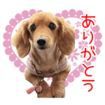 ナナのおはヨーグルト