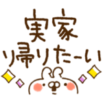 年末年始、会えない家族専用★ねことうさぎ