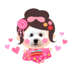 雪丸☆雫☆トイプードル＆チワプープー賀正