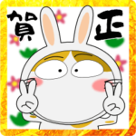 年末年始も、猫三昧