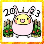 あけおめ2023☆オカメインコのちきんちゃん