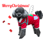 ビビレオすたんぷ第一弾