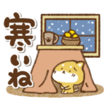 豆柴ぴんちゃん冬のあいさつ