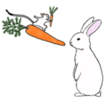 フクロモモンガのジオ　3