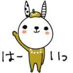 mottoの伝えるうさぎ♡丁寧