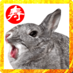 動く！うさぎの年末年始あけおめスタンプ