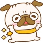 冬のパグちゃんず♡