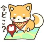 ぽっちゃり柴犬の連絡用