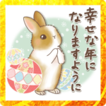 うさぎの年末年始&日常