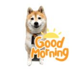 柴犬　豆三郎スタンプⅡ