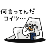 全力ねこ何言ってんだ？編