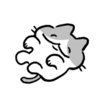 ンオ～！ねこ！