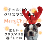 気付けば覚えちゃってる韓国語★年末年始