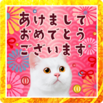 大人の敬語と猫写真♪お正月のご挨拶 2023