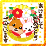 柴犬「ムサシ」４３　年末年始４