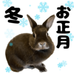 冬・お正月のウサギのくーちゃん