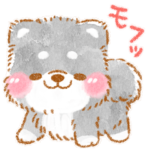 黒柴❤️冬の思いやり❤️いやしばいぬ