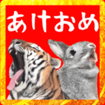 年末年始！トラとウサギの年賀状